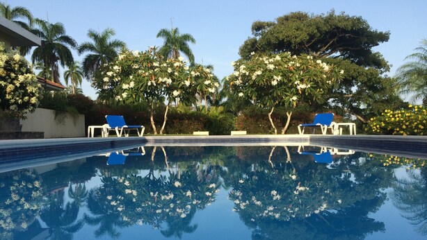 A swimming pool with clear water reflecting surrounding trees and a clear sky. - Villa Jacaranda Sosua (Sosúa)
