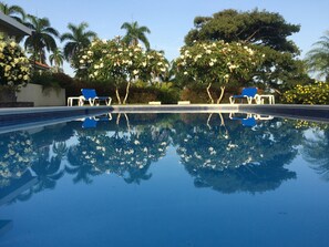 A swimming pool with clear water reflecting surrounding trees and a clear sky. - Villa Jacaranda Sosua (Sosúa)