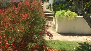 A pathway leading to a building with a red-tiled roof, surrounded by lush greenery and red flowering plants. - Villa Jacaranda Sosua (Sosúa)