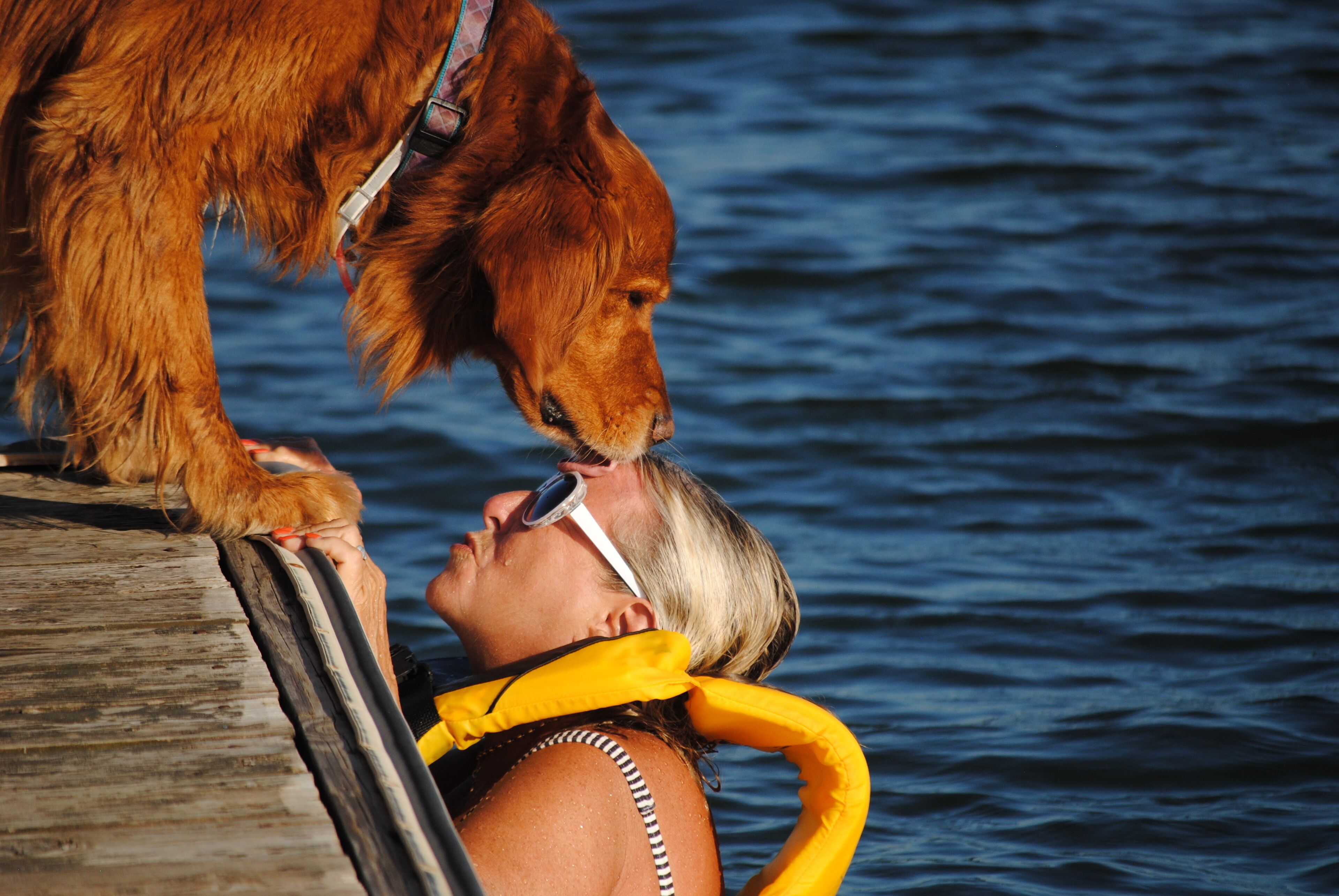 A person on a wooden dock with a dog.