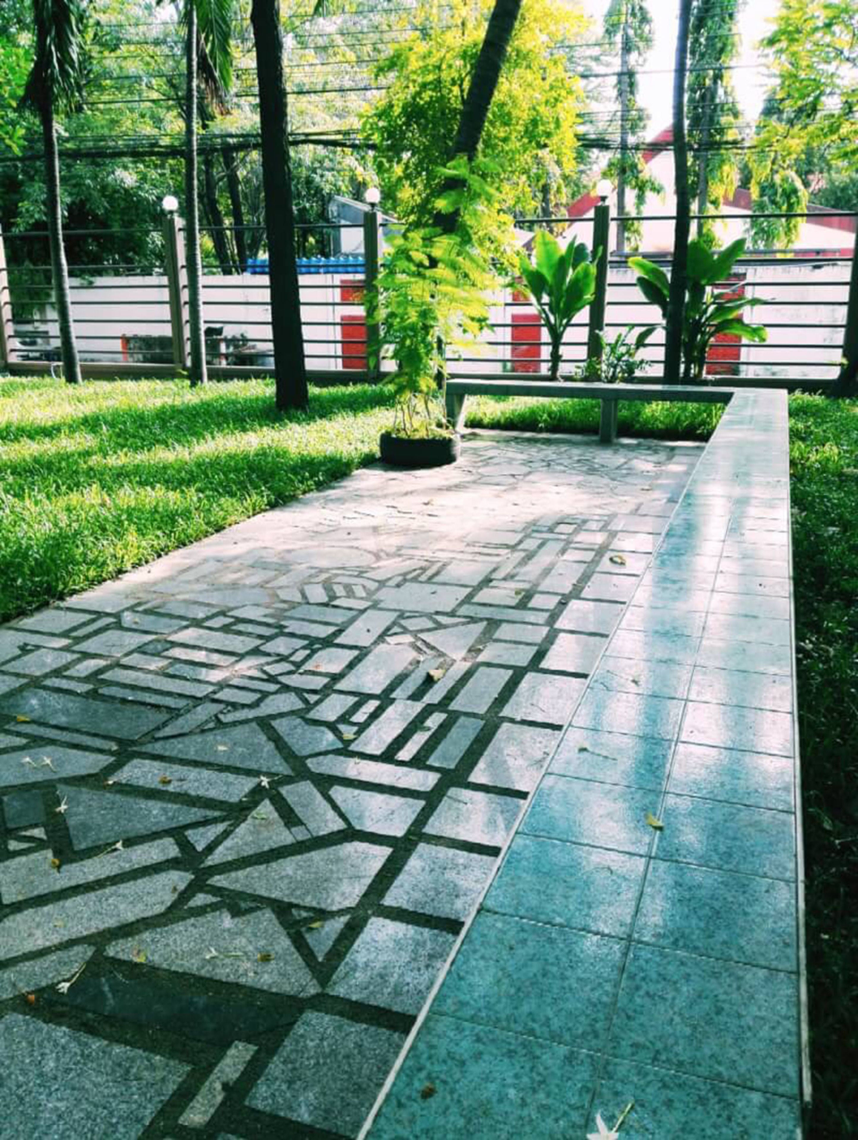 A paved pathway with a geometric pattern, surrounded by grass and trees.