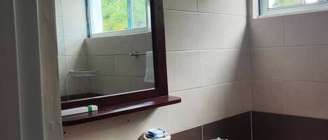 A bathroom with a sink, toilet, and a mirror.