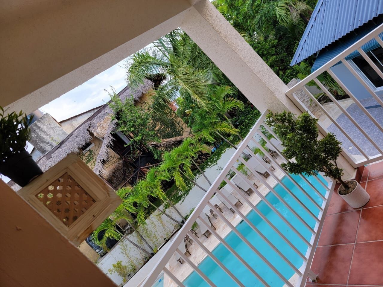 A pool area with a clear view of the surrounding vegetation and a thatched-roof structure.