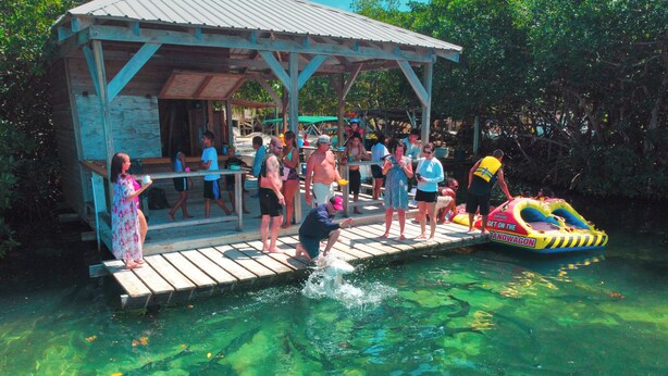 A wooden dock extending into a clear blue water body, surrounded by lush greenery.