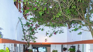 A staircase leading to a covered area with hanging plants and a view of the sea. - Hotel Restaurant Wuarao (Boca Chica)