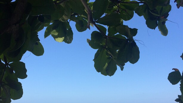A beach with clear turquoise water and a sandy shore, framed by green foliage. - Hotel Restaurant Wuarao (Boca Chica)