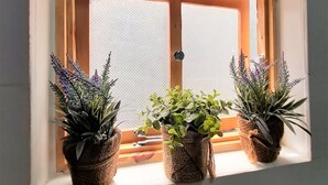 Ein Fenster mit Holzrahmen und einem Insektengitter, beides von drei Blumentöpfen eingerahmt.