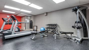 A gym with treadmills, dumbbells, a bench press, and a medicine ball.