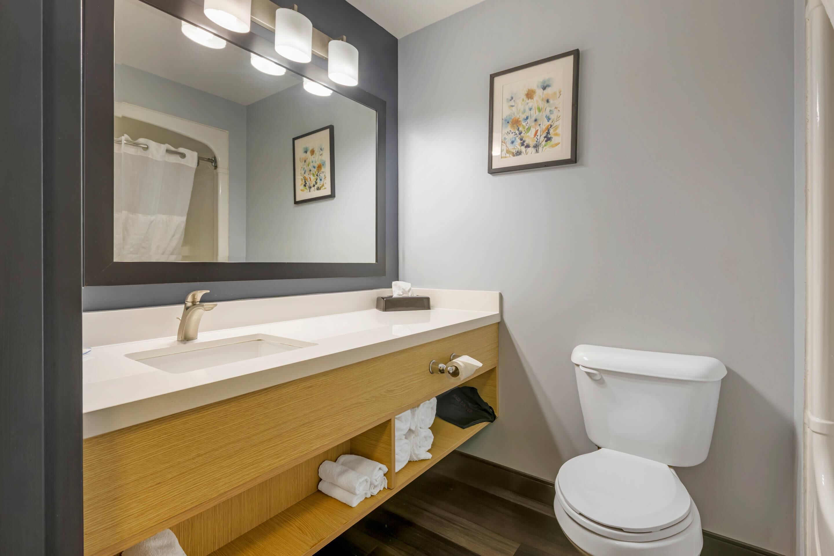 A bathroom with a white sink, a mirror, a toilet, and a towel rack.