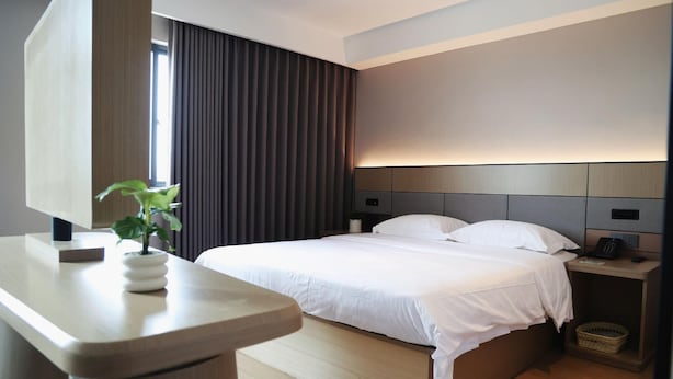 Una habitación de hotel moderna con una cama, mesita de noche, lámpara y una planta en maceta.
