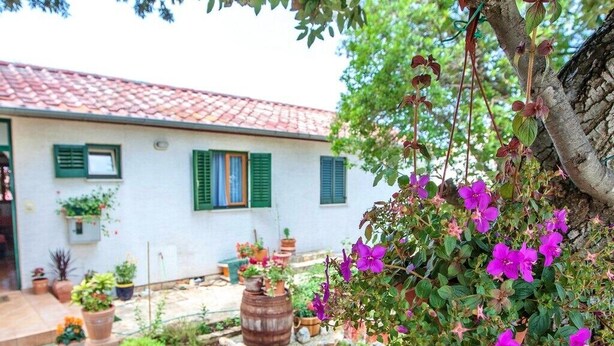 A white building with green shutters, a garden with various plants and flowers, and a hanging flower pot with purple flowers. - Apartments Irena (Zadar)