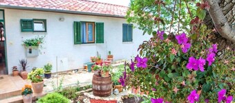 Apartments Irena