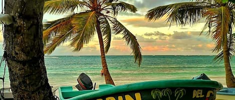 Beach nearby, white sand, sun loungers, 3 beach bars