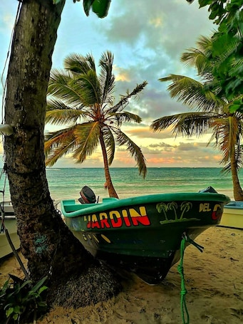 Beach nearby, white sand, sun loungers, 3 beach bars