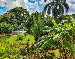 Exterior - Labellaventura (Las Galeras)