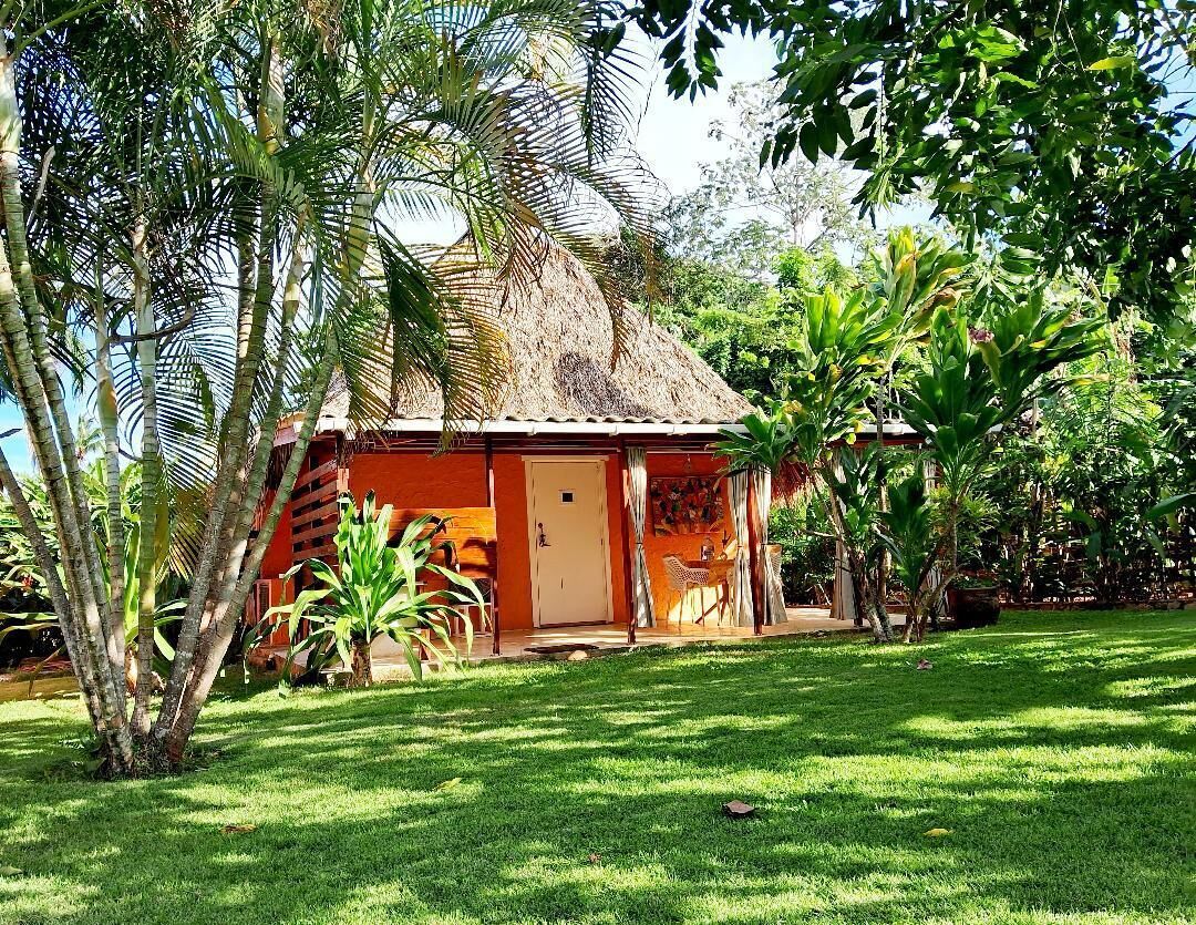 Classic House | Terrace/patio