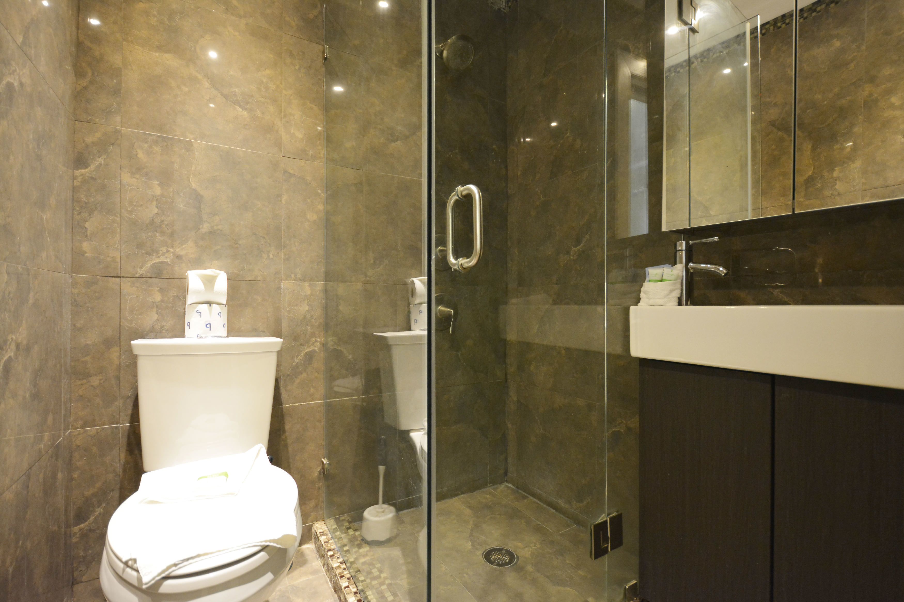 A modern bathroom with a glass-enclosed shower, a toilet, and a vanity with a mirror.