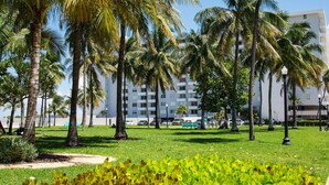 A grassy area with palm trees and a building in the background. - 335 Ocean Walk Apartments (Miami Beach)