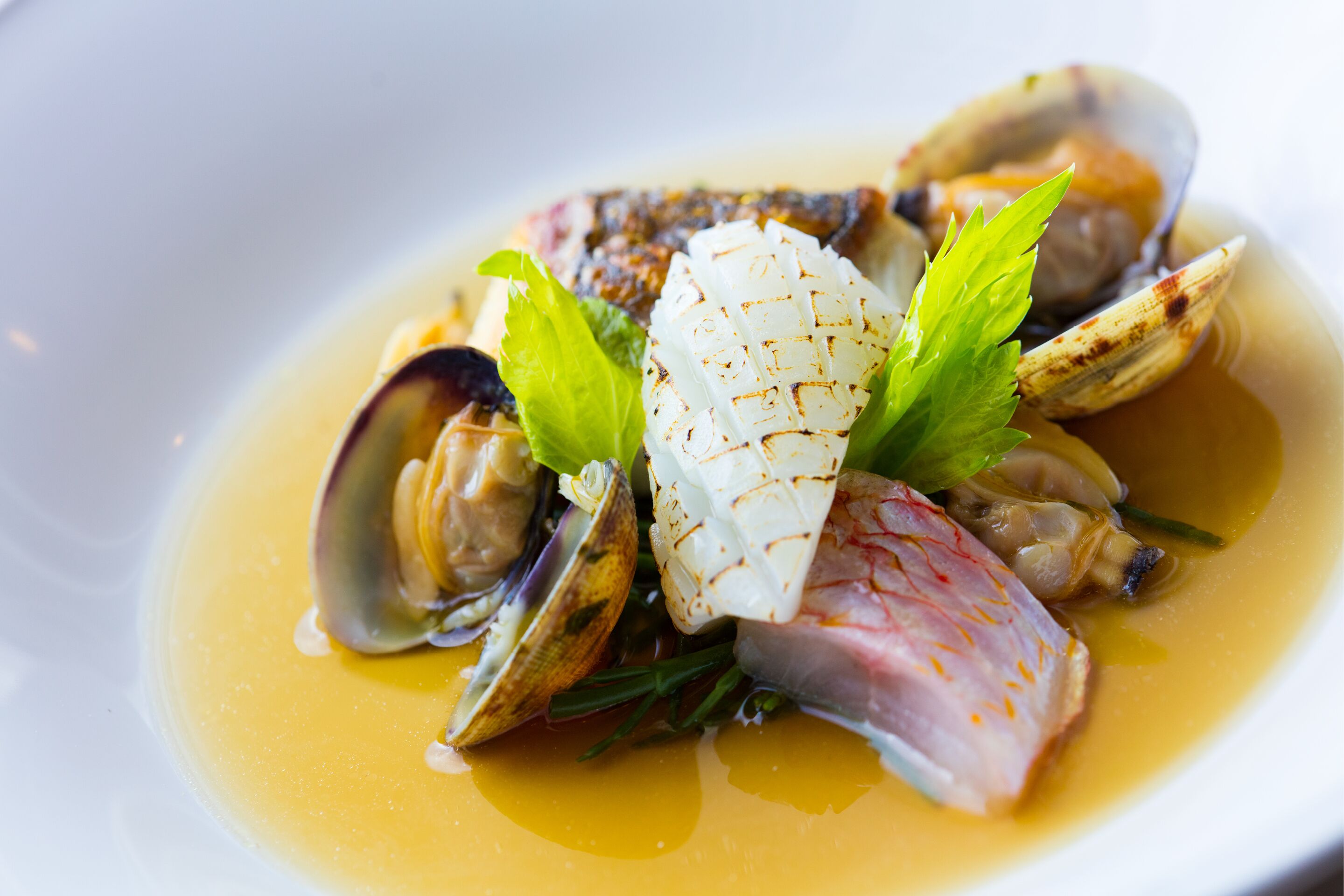 Ein Fischgericht mit Miesmuscheln, gegrilltem Fisch und einem weißen Gemüse in einer flachen Schüssel.