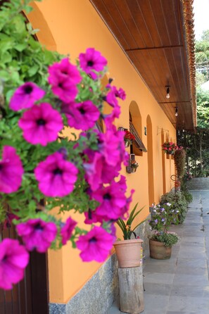 A building with a yellow facade, potted plants, and hanging flower baskets.