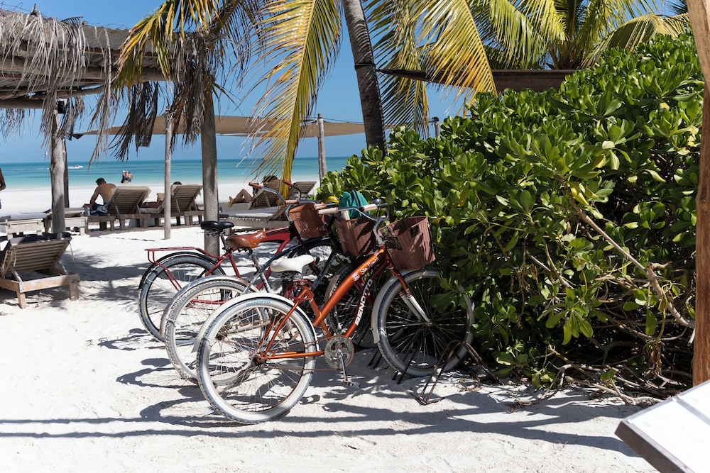 Hotel Punta Caliza by null