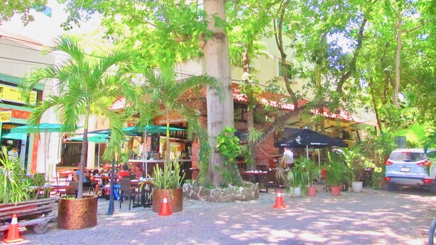 View from property - BOSQUE DE LOS ALUXES INDO BY PLAYA PARADISE (Playa del Carmen)