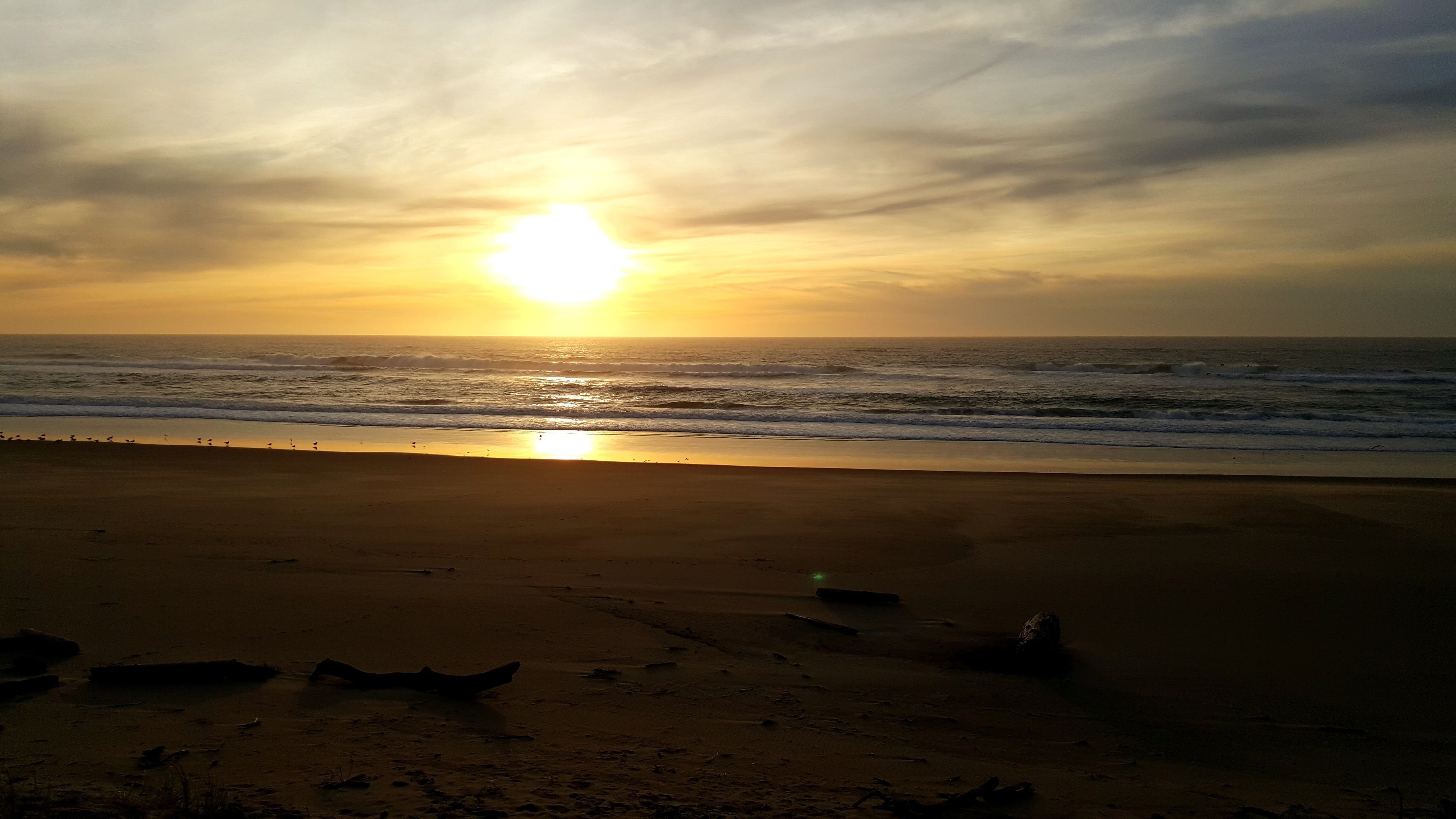 A beach with the sun setting over the ocean, creating a silhouette of birds on the sand.