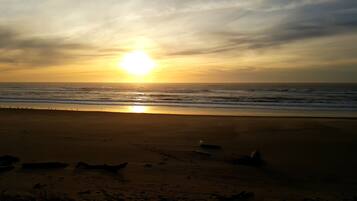 A beach with the sun setting over the ocean, creating a silhouette of birds on the sand.