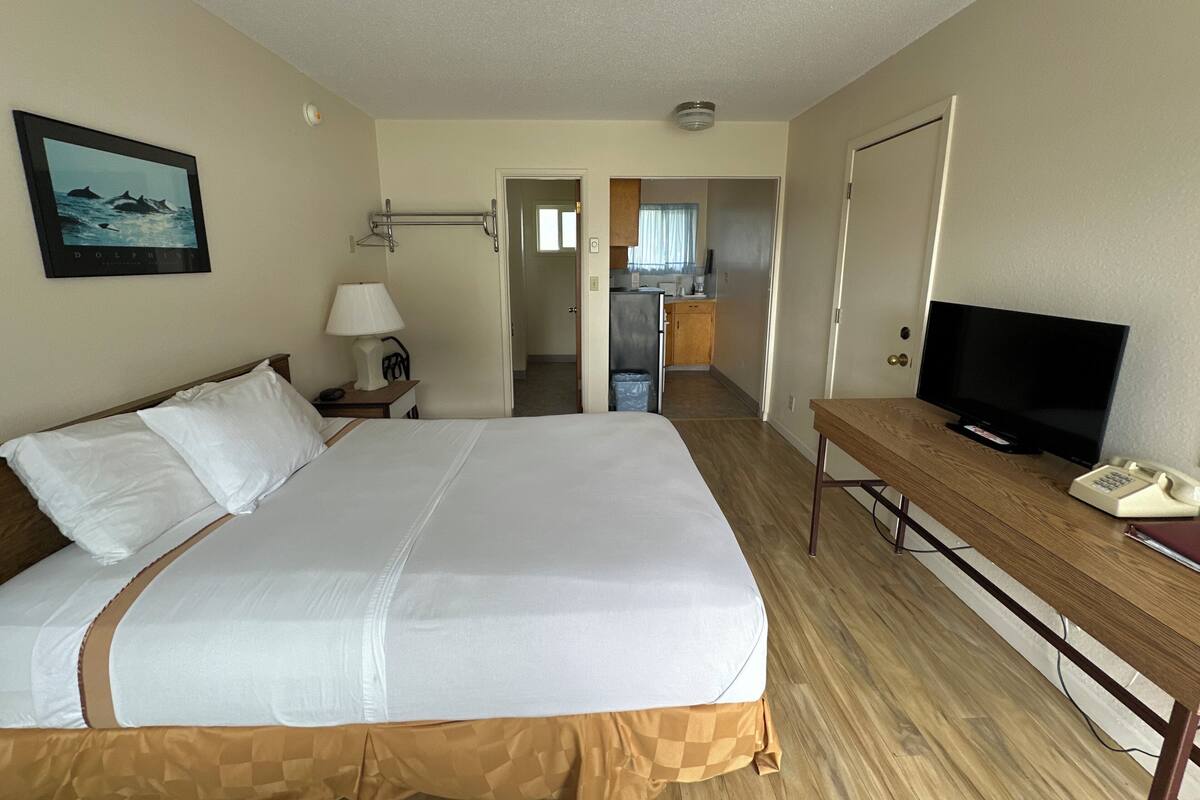 A hotel room with a large bed, a desk with a television, a lamp, and a picture of dolphins on the wall.