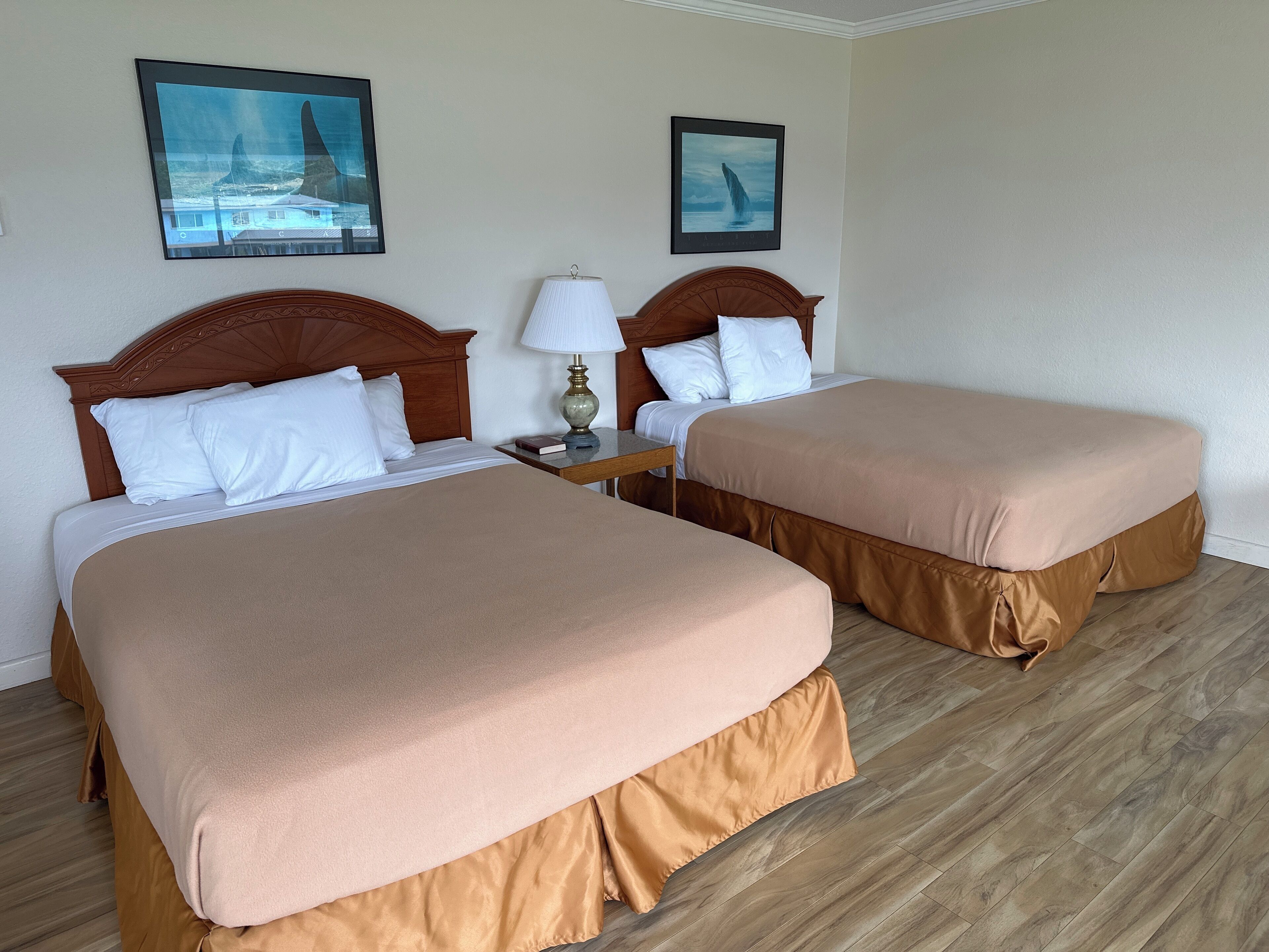 Habitación de hotel con dos camas, una mesita de noche con lámpara y dos cuadros en la pared.