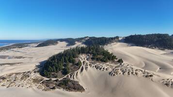 A vast desert landscape with sand dunes, a forested area, and a clear blue sky.