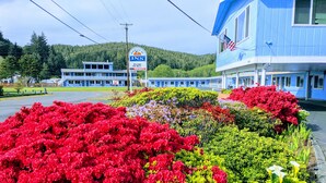 Un motel con fachada azul, un letrero que indica WiFi gratuito y un estacionamiento con flores rojas al frente.