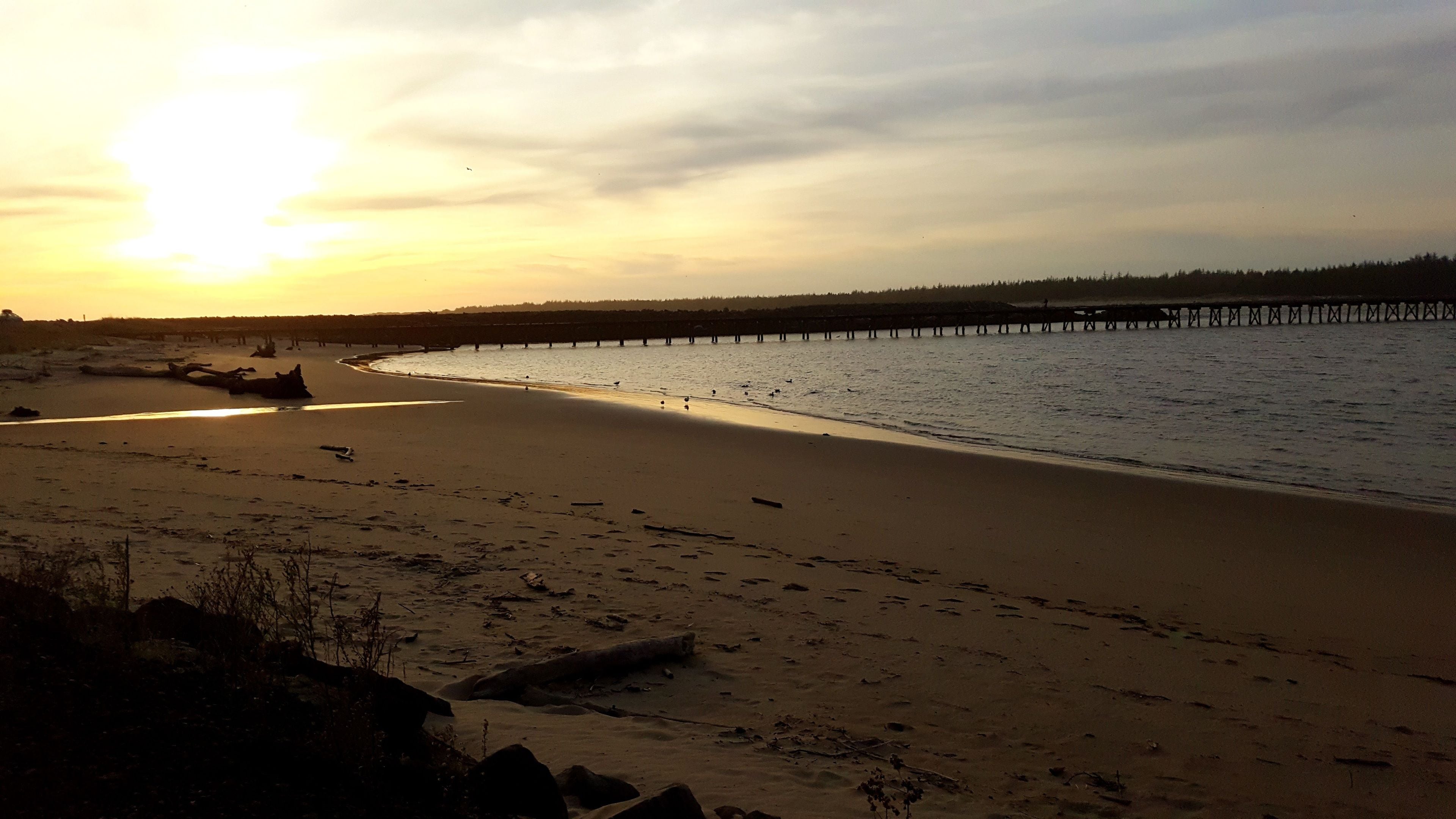 Una playa con un muelle de madera que se adentra en aguas tranquilas, rodeada de arena y vegetación escasa.