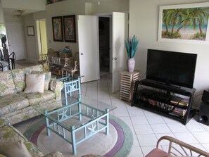 TV connectée, lecteur de DVD, livres, vidéothèque