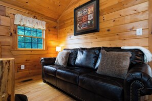 Télévision, cheminée, lecteur de DVD