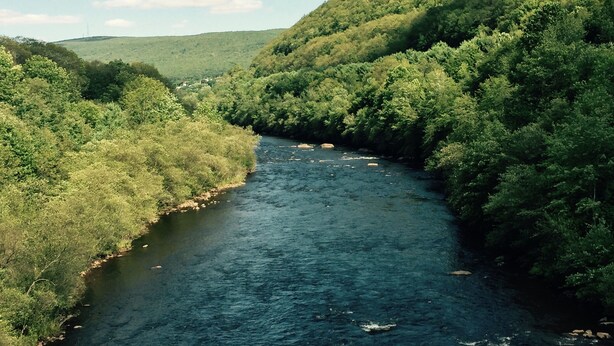 A river flowing through a densely forested valley with hills on either side. - Spacious 3 Bedroom, 2 Bath Apartment-historic Jim Thorpe, large patio & balcony (Jim Thorpe)