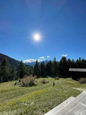 Property grounds - BEAUTIFUL ATTIC ROOM WITH A VIEW OF THE SKI SLOPES (BORMIO)