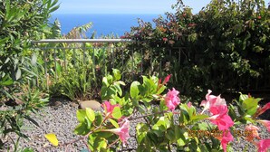 A garden with various plants and flowers, a metal fence, and a view of the ocean. - CASA IVA 3 bedroom, 3 bathroom House with swimming pool and sea views (Estreito da Calheta)