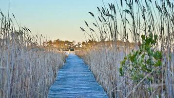 A wooden boardwalk leading through tall, dry grass fields.