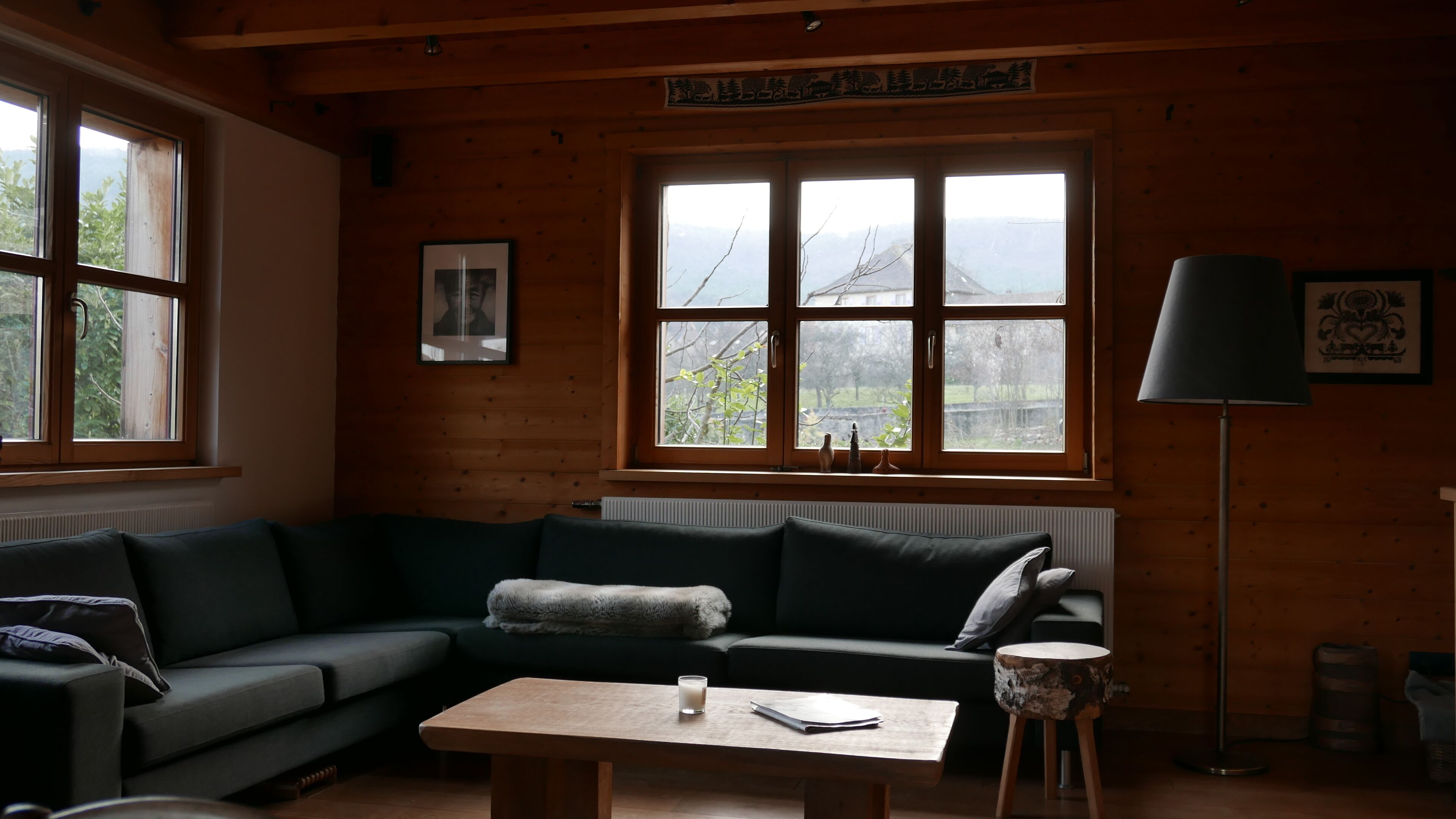 TV, fireplace, DVD player, books