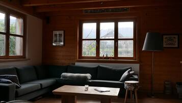 TV, fireplace, DVD player, books