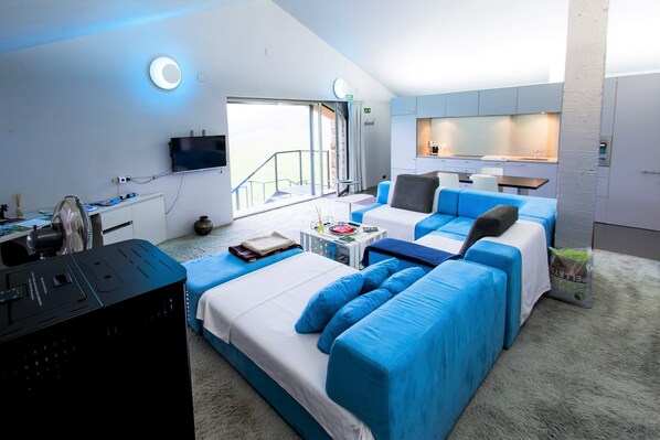 Smart TV, fireplace, books