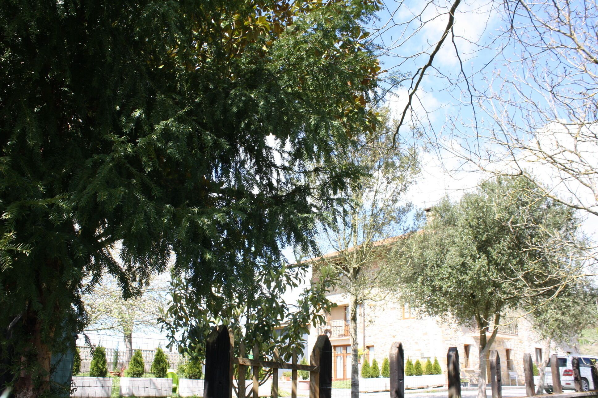 Una calle bordeada de árboles con un edificio de piedra al fondo.