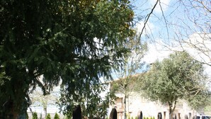 A tree-lined street with a stone building in the background.