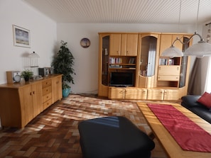 TV connectée, cheminée, lecteur de DVD, livres