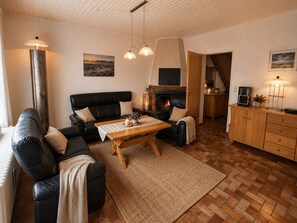 TV connectée, cheminée, lecteur de DVD, livres