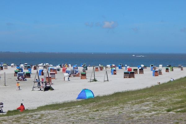 Beach nearby, sun loungers