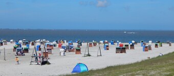 Topp semesterhus, 7 s., Bastu, 2 badrum, WLAN, Tel., Eldstad, Strandk., Uteplats, hund-spelare