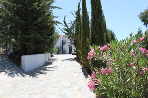 Property grounds - Well-maintained, independent finca in the foothills of Andalusia, just for you (Axarquia)