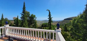 Property grounds - Well-maintained, independent finca in the foothills of Andalusia, just for you (Axarquia)